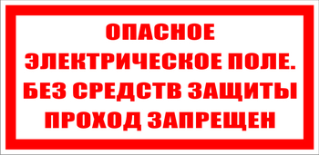 S13 Опасное электрическое поле. без средств защиты проход запрещен - Знаки безопасности - Знаки по электробезопасности - Магазин охраны труда и техники безопасности stroiplakat.ru